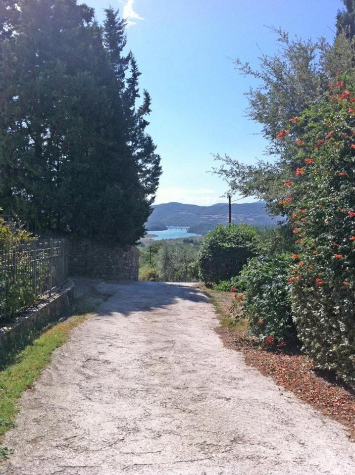 Вилла Agriturismo Il Palazzaccio Галлиано Экстерьер фото